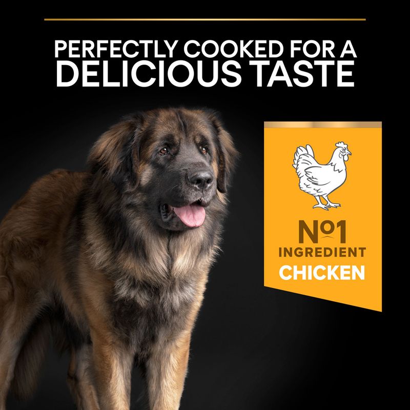 PURINA PRO PLAN Large Robust Adult Everyday Nutrition || Pro Plan || view 7