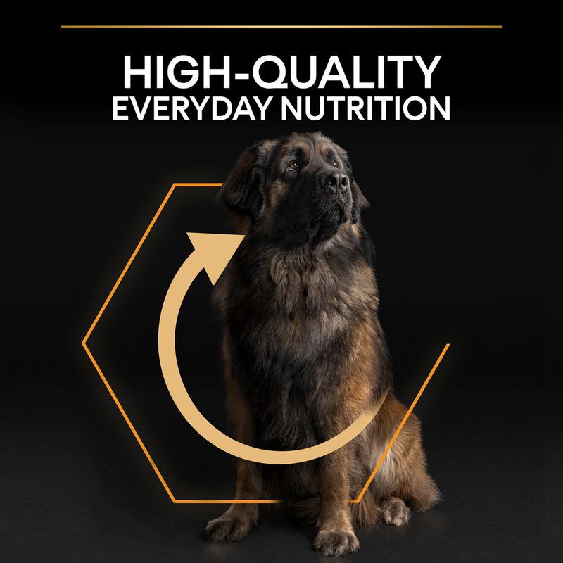 PURINA PRO PLAN Large Robust Adult Everyday Nutrition || Pro Plan || view 8