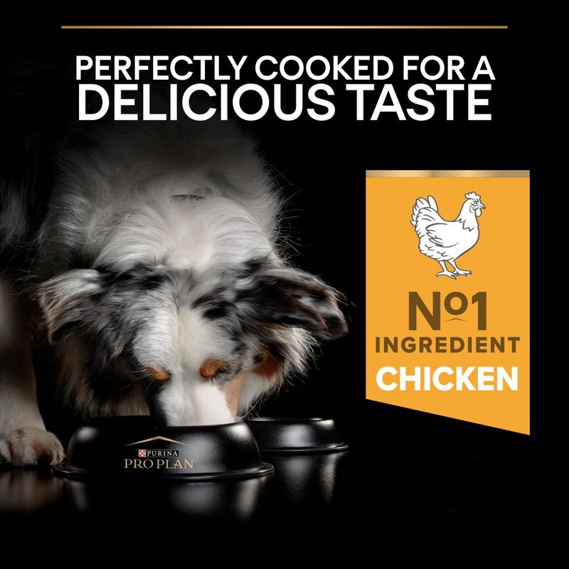 PURINA PRO PLAN Medium Adult Everyday Nutrition || Pro Plan || view 7