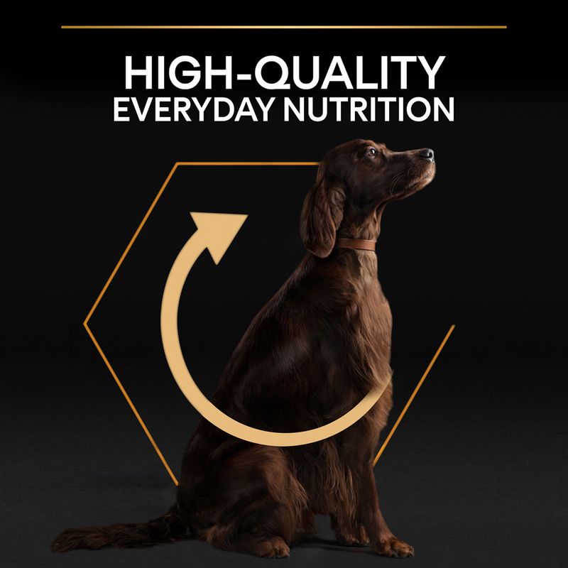 PURINA PRO PLAN Large Athletic Adult Everyday Nutrition || undefined || view 5
