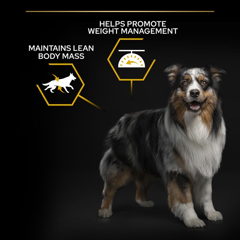 PURINA PRO PLAN All Sizes Adult Light/Sterilised || Pro Plan || view 6