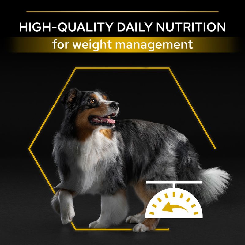PURINA PRO PLAN All Sizes Adult Light/Sterilised || Pro Plan || view 5