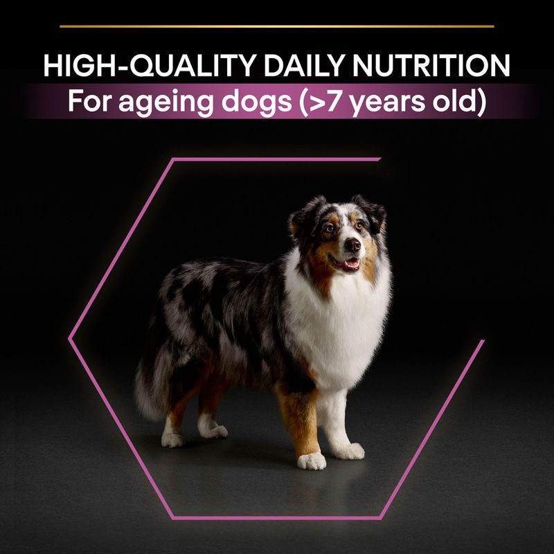 PURINA PRO PLAN Medium & Large Adult 7+ Age Defence || undefined || view 5