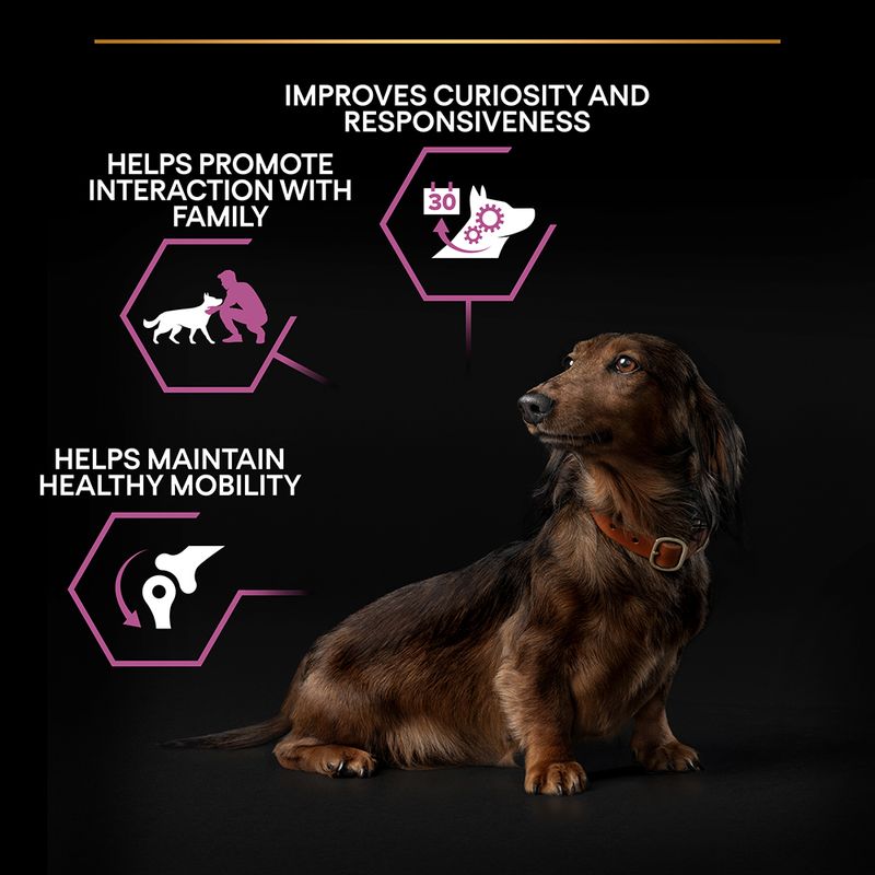 PURINA PRO PLAN Small & Mini Adult 9+ Age Defence - Chicken || Pro Plan || view 7