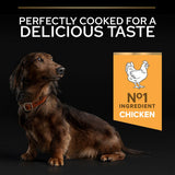 PURINA PRO PLAN Small & Mini Adult 9+ Age Defence - Chicken || Pro Plan || view 8