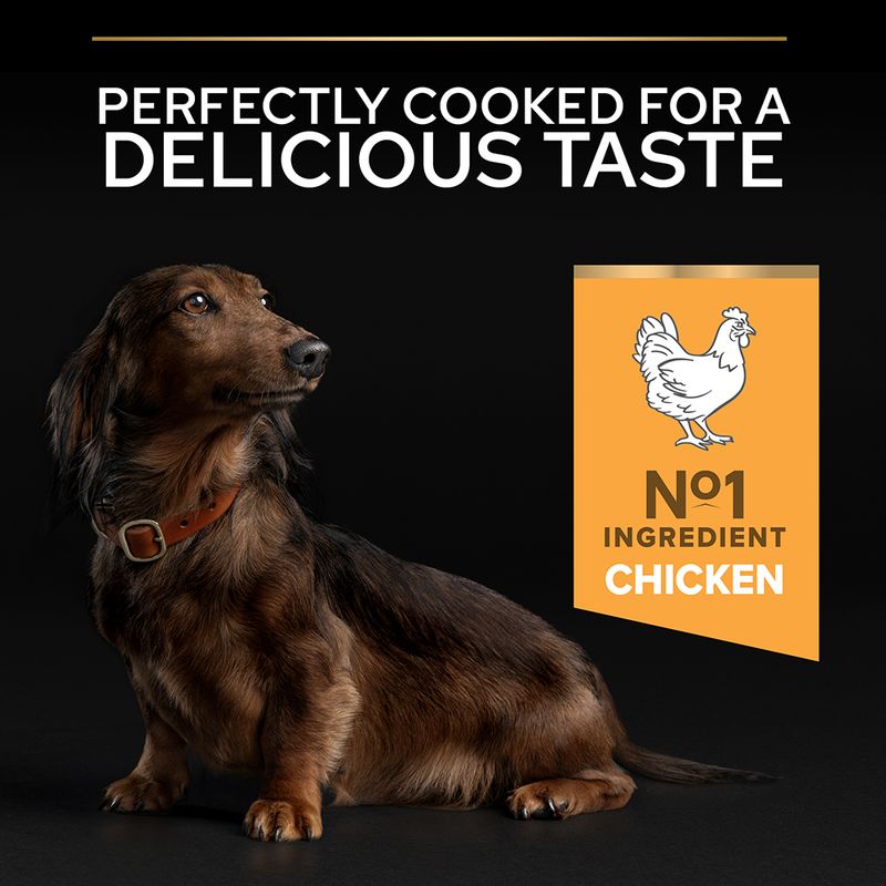 PURINA PRO PLAN Small & Mini Adult 9+ Age Defence - Chicken || Pro Plan || view 8