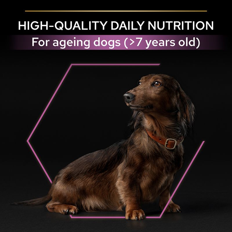 PURINA PRO PLAN Small & Mini Adult 9+ Age Defence - Chicken || Pro Plan || view 6