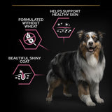 PURINA PRO PLAN Medium Adult Sensitive Skin || Pro Plan || view 6