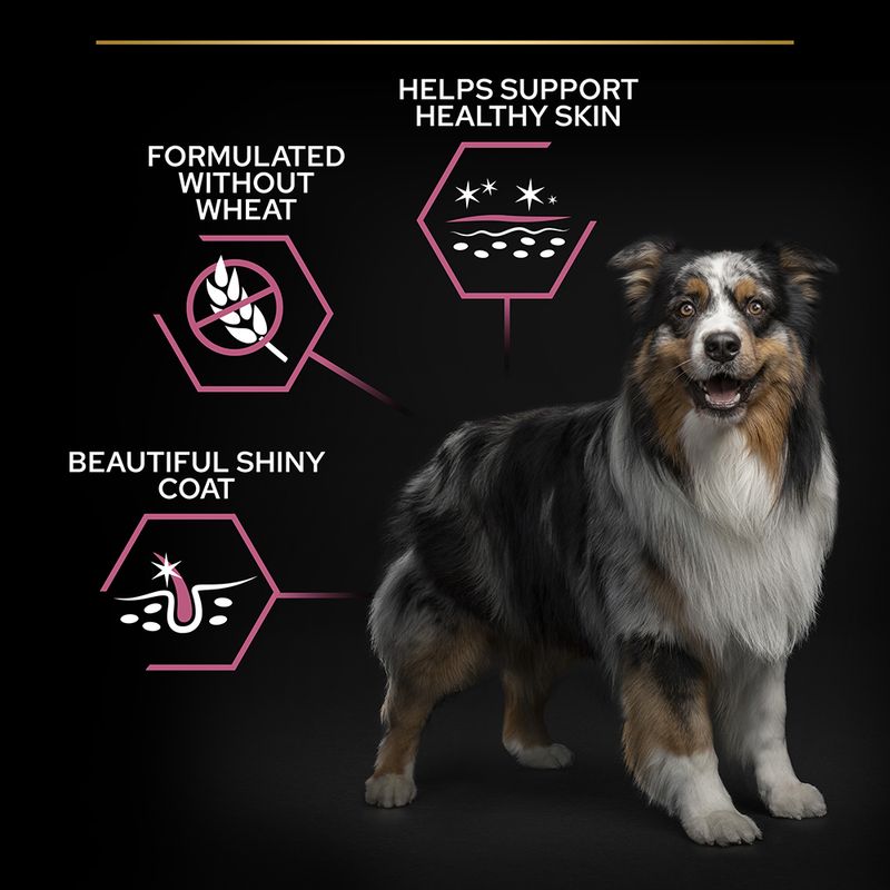 PURINA PRO PLAN Medium Adult Sensitive Skin || Pro Plan || view 6