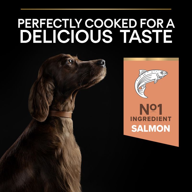 PURINA PRO PLAN Large Athletic Adult Sensitive Skin - Salmon || undefined || view 6