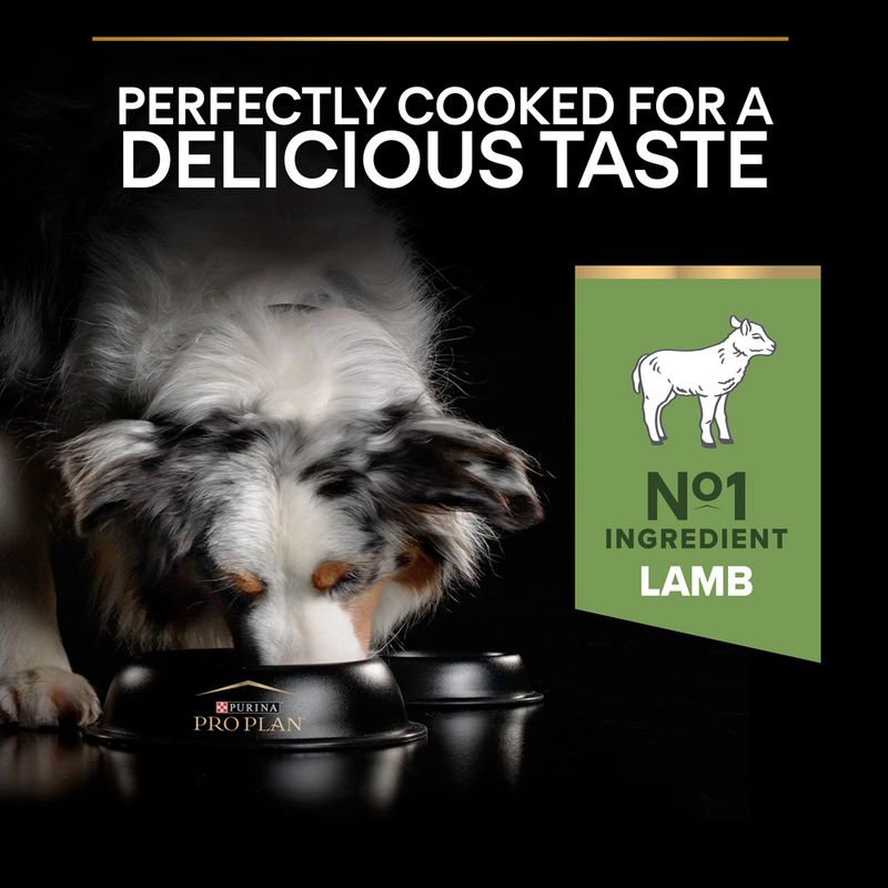 PURINA PRO PLAN Medium Adult Lamb & Rice Sensitive Digestion || Pro Plan || view 6