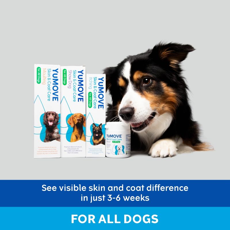 YuMOVE Skin & Coat Care Itching for All Dogs || YuMOVE || view 3