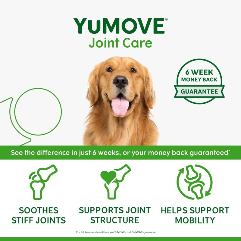 YuMOVE Joint Care Daily Bites for Adult Dogs || YuMOVE || view 4