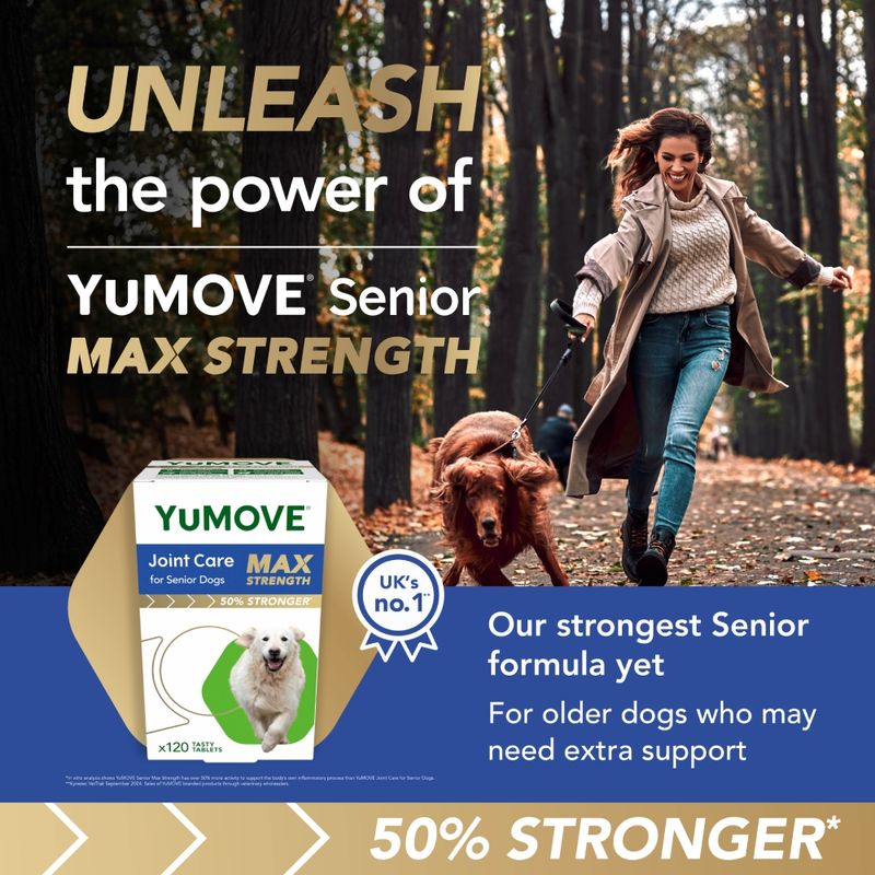 YuMOVE Joint Care for Senior Dogs Max Strength || YuMOVE || view 2