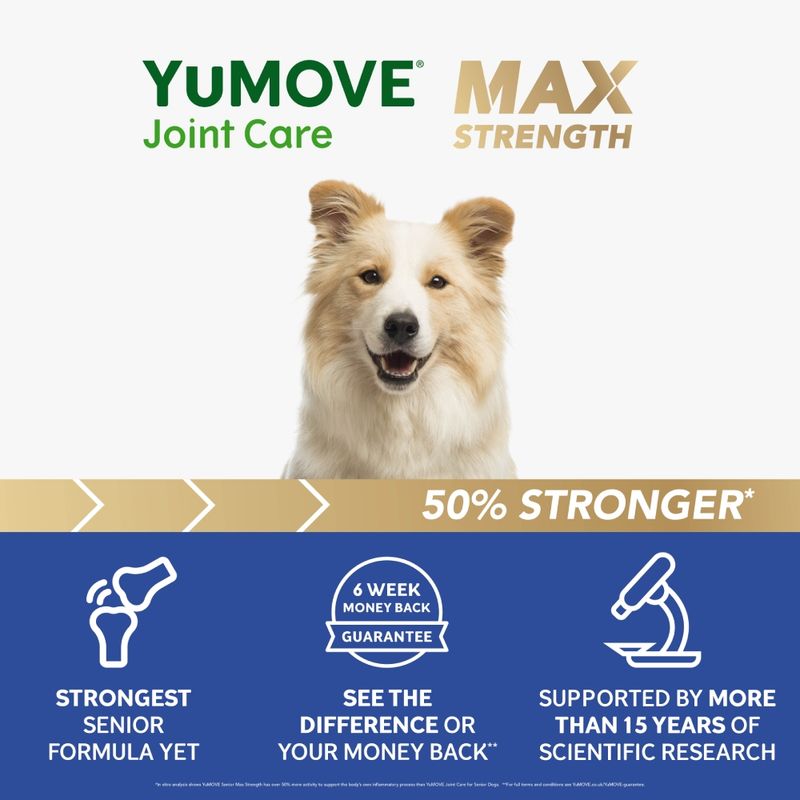 YuMOVE Joint Care for Senior Dogs Max Strength || YuMOVE || view 4