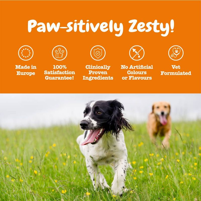 Zesty Paws 5-in-1 Chews Multifunctional - Turkey || Zesty Paws || view 6