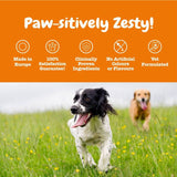 Zesty Paws Allergy & Immunity Chews - Salmon || Zesty Paws || view 6