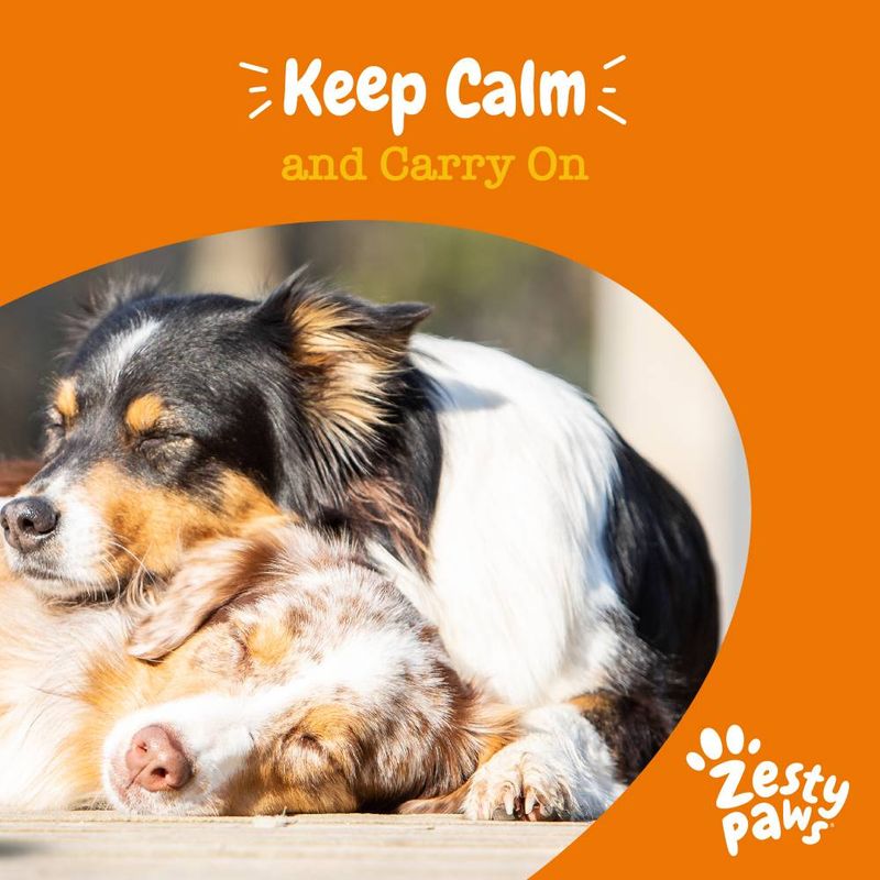 Keep Calm and Carry On. Zesty Paws.