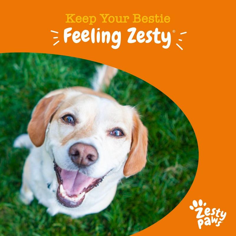 Keep Your Bestie Feeling Zesty. Zesty Paws.