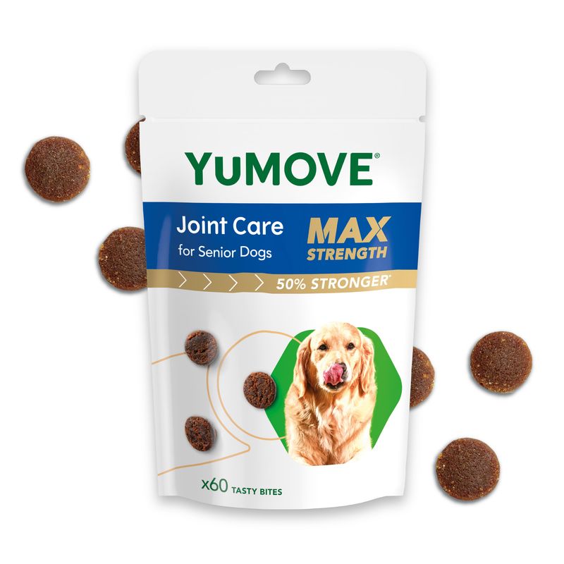 YuMOVE Joint Care Daily Bites for Senior Dogs Max Strength || YuMOVE || view 1