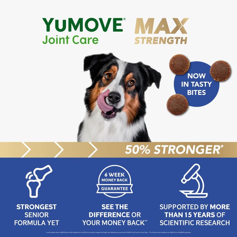 YuMOVE Joint Care Daily Bites for Senior Dogs Max Strength || YuMOVE || view 4