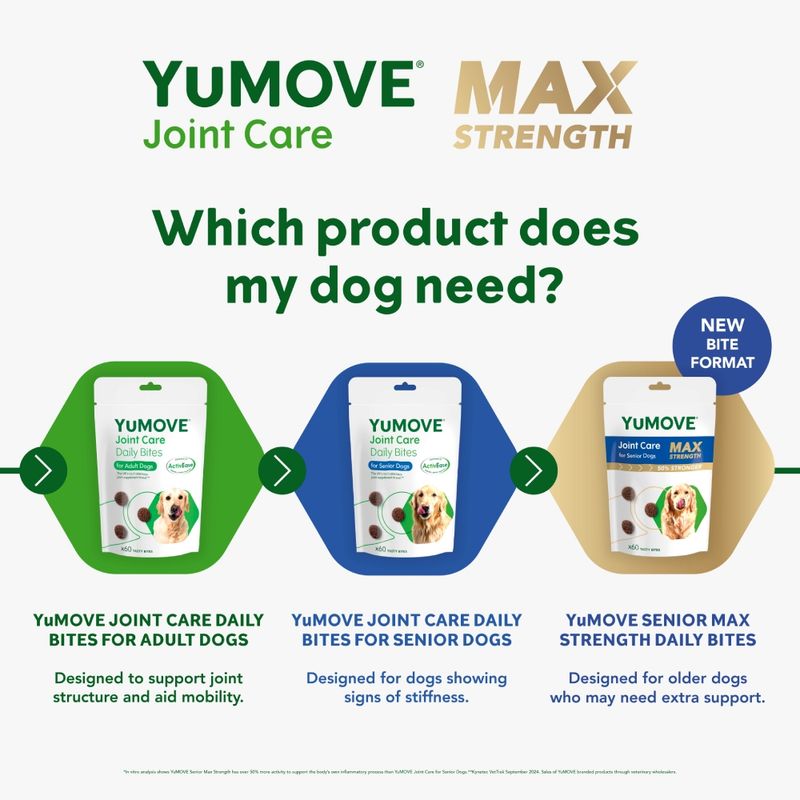 YuMOVE Joint Care Daily Bites for Senior Dogs Max Strength || YuMOVE || view 6