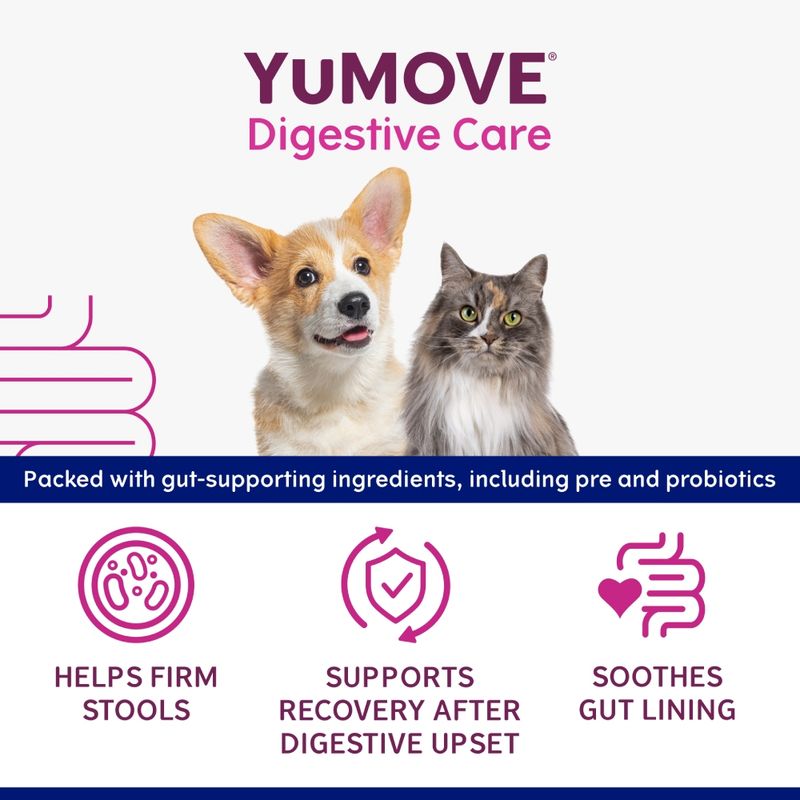 YuMOVE Digestive Care. Packed with gut-supporting ingredients, including pre and probiotics. Helps firm stools, supports recovery after digestive upset, soothes gut lining.
