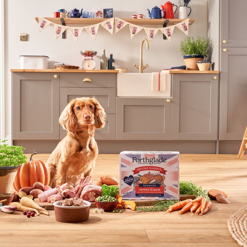 Forthglade Complete Meal Grain-Free Adult Dog - British Classics || Forthglade || view 11