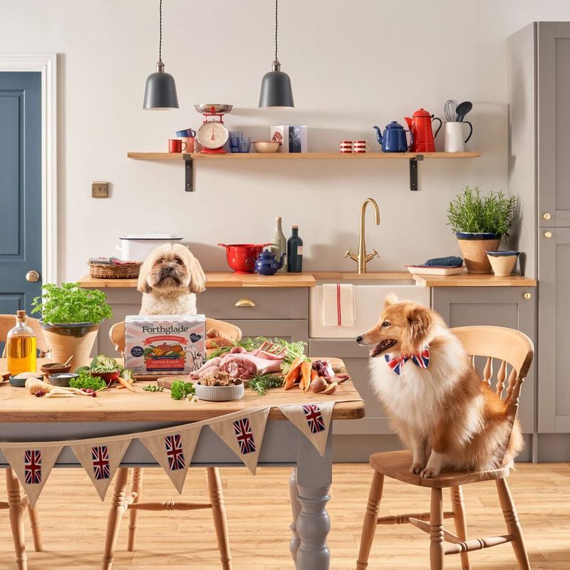 Forthglade Complete Meal Grain-Free Adult Dog - British Classics || Forthglade || view 13