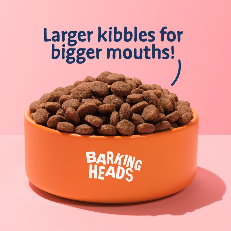 Barking Heads Big Foot Puppy Days || barking heads || view 6