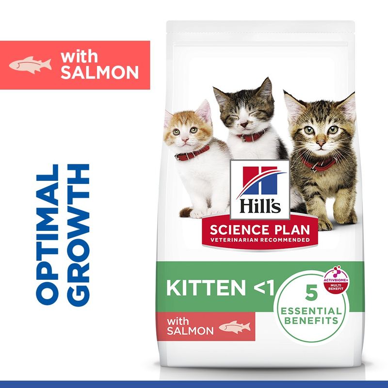 Hill's Science Plan Kitten <1 with Salmon