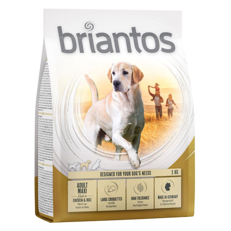 Briantos Maxi Adult || briantos || view 2