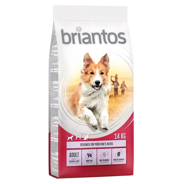 Briantos Adult Salmon & Rice || briantos || view 1