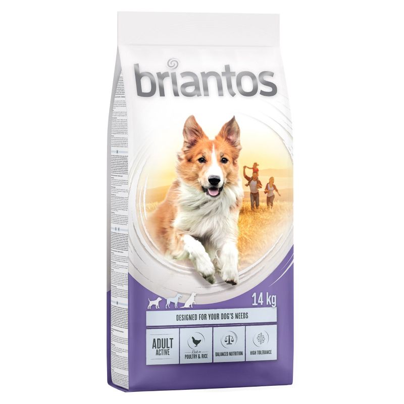Briantos Adult Active || briantos || view 1