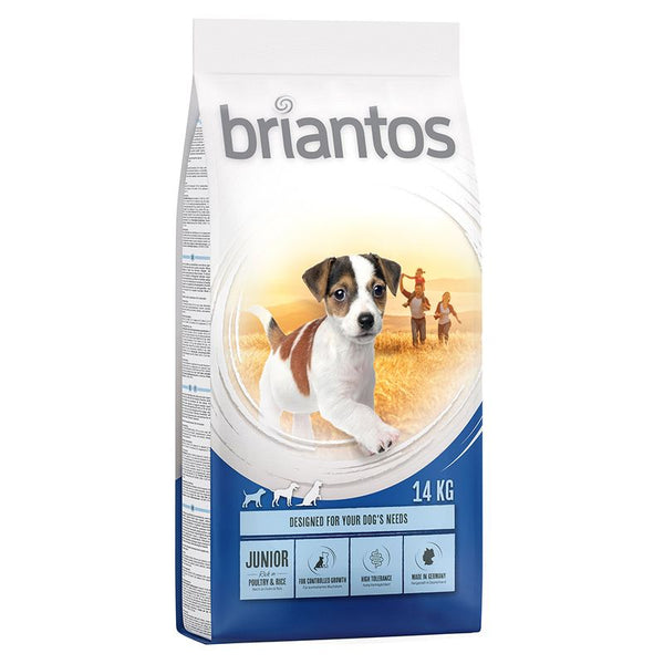 Briantos Junior || briantos || view 1
