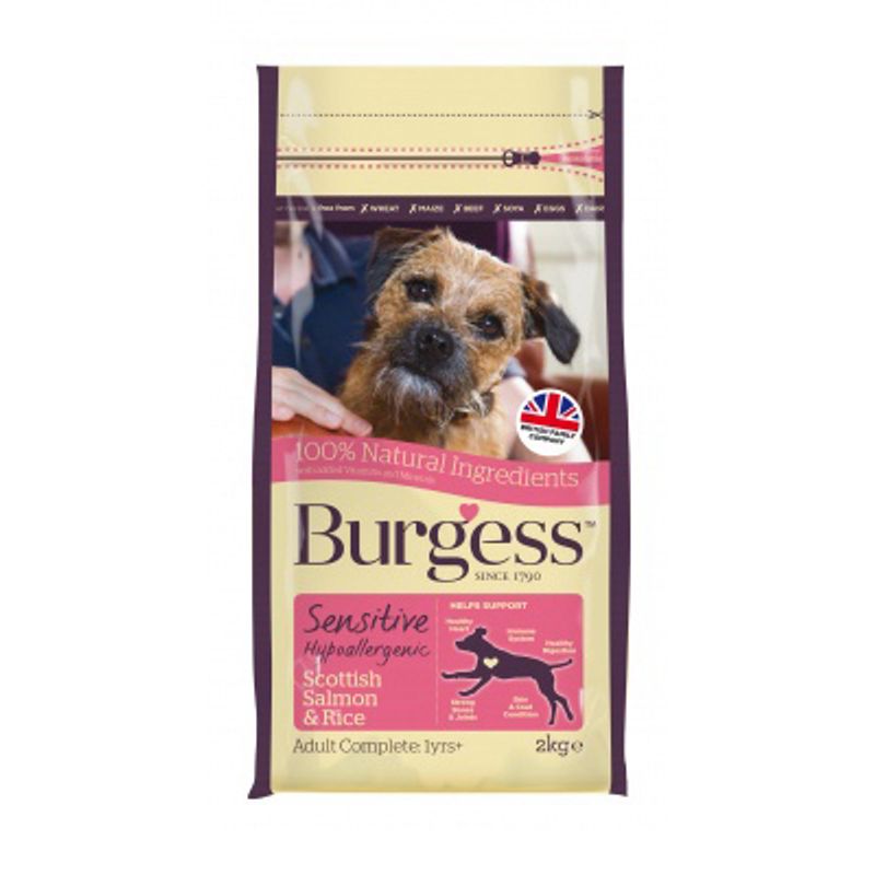 Burgess Sensitive Adult Dog Salmon || Burgess || view 5