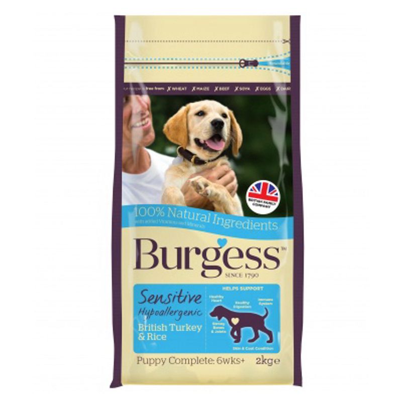 Burgess Sensitive Puppy || Burgess || view 5