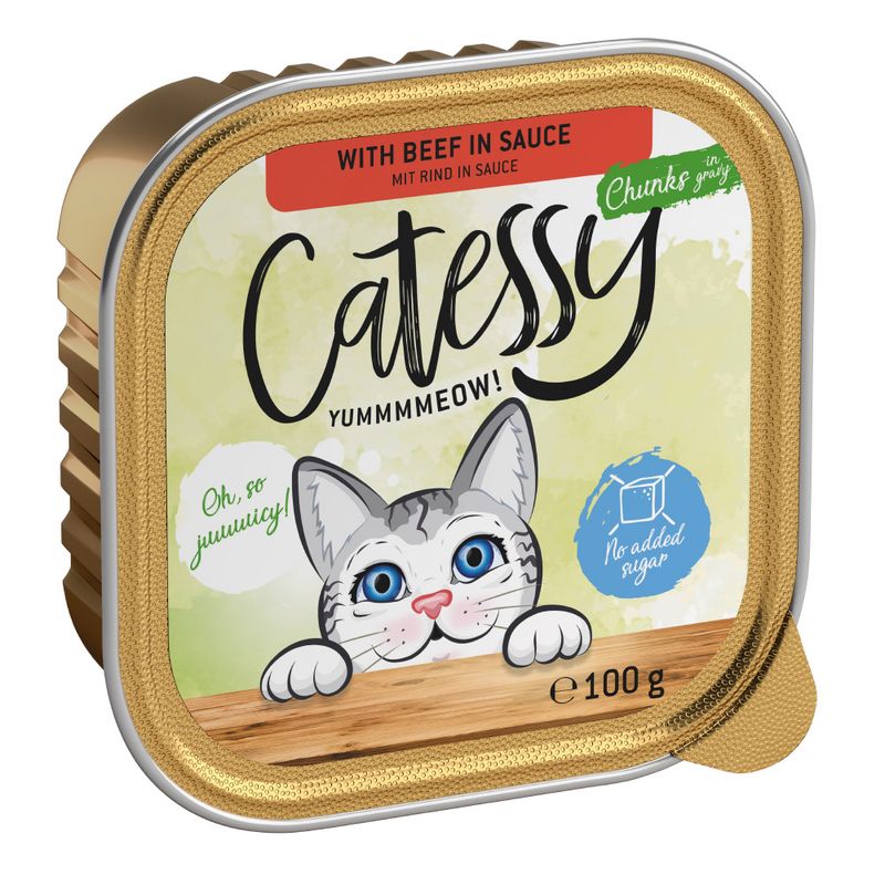 Catessy cat food with beef in gravy, 100g. No added sugar. Packaging shows a grey cat with blue eyes and the text 'Oh, so yummy!' and 'Chunks in gravy'.