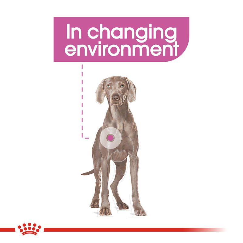 Royal Canin Relax Care Maxi || Royal Canin Care Nutrition || view 3