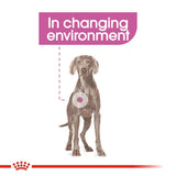Royal Canin Relax Care Maxi || Royal Canin Care Nutrition || view 3