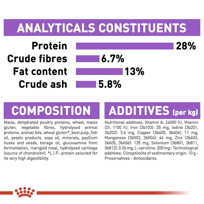 Royal Canin Maxi Sterilised || Royal Canin Care Nutrition || view 4