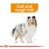 Royal Canin Coat Care Loaf || Royal Canin Care Nutrition || view 3