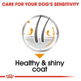 Royal Canin Coat Care Loaf || Royal Canin Care Nutrition || view 4