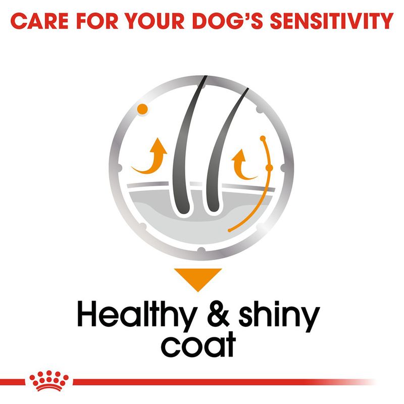 Royal Canin Coat Care Loaf || Royal Canin Care Nutrition || view 4