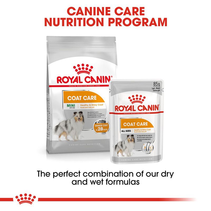 Royal Canin Coat Care Loaf || Royal Canin Care Nutrition || view 6