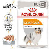 Royal Canin Coat Care Loaf || Royal Canin Care Nutrition || view 1