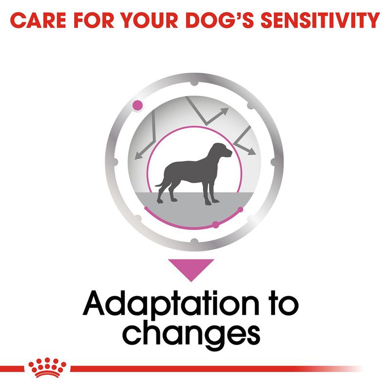 Royal Canin Relax Loaf || Royal Canin Care Nutrition || view 4