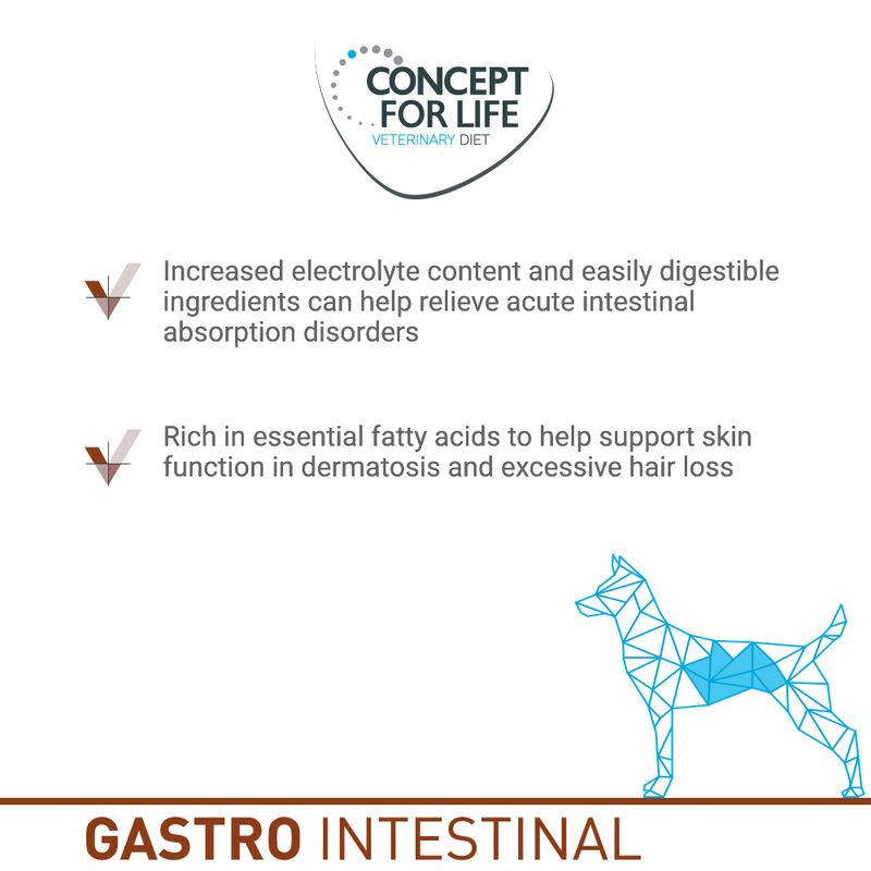 Concept for Life Veterinary Diet Economy Pack 2 x 12kg || undefined || view 15