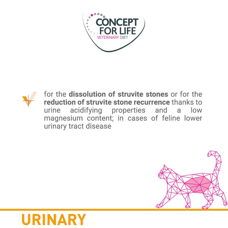 Concept for Life Veterinary Diet Saver Pack 24 x 185g/200g || undefined || view 10