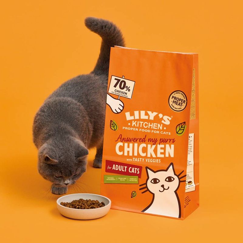 Lily's Kitchen Chicken Casserole Dry Cat Food || undefined || view 4